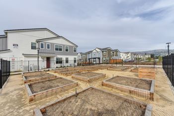 Community garden